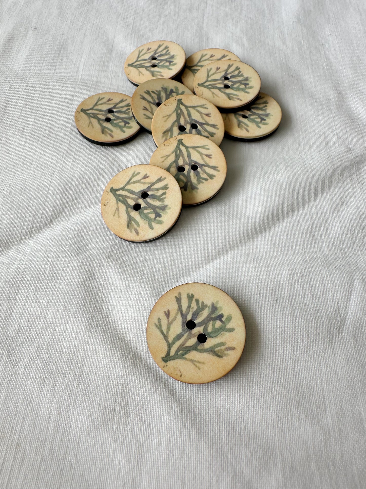 Kuvassa on nappeja (buttons), joissa on korallin kuva.