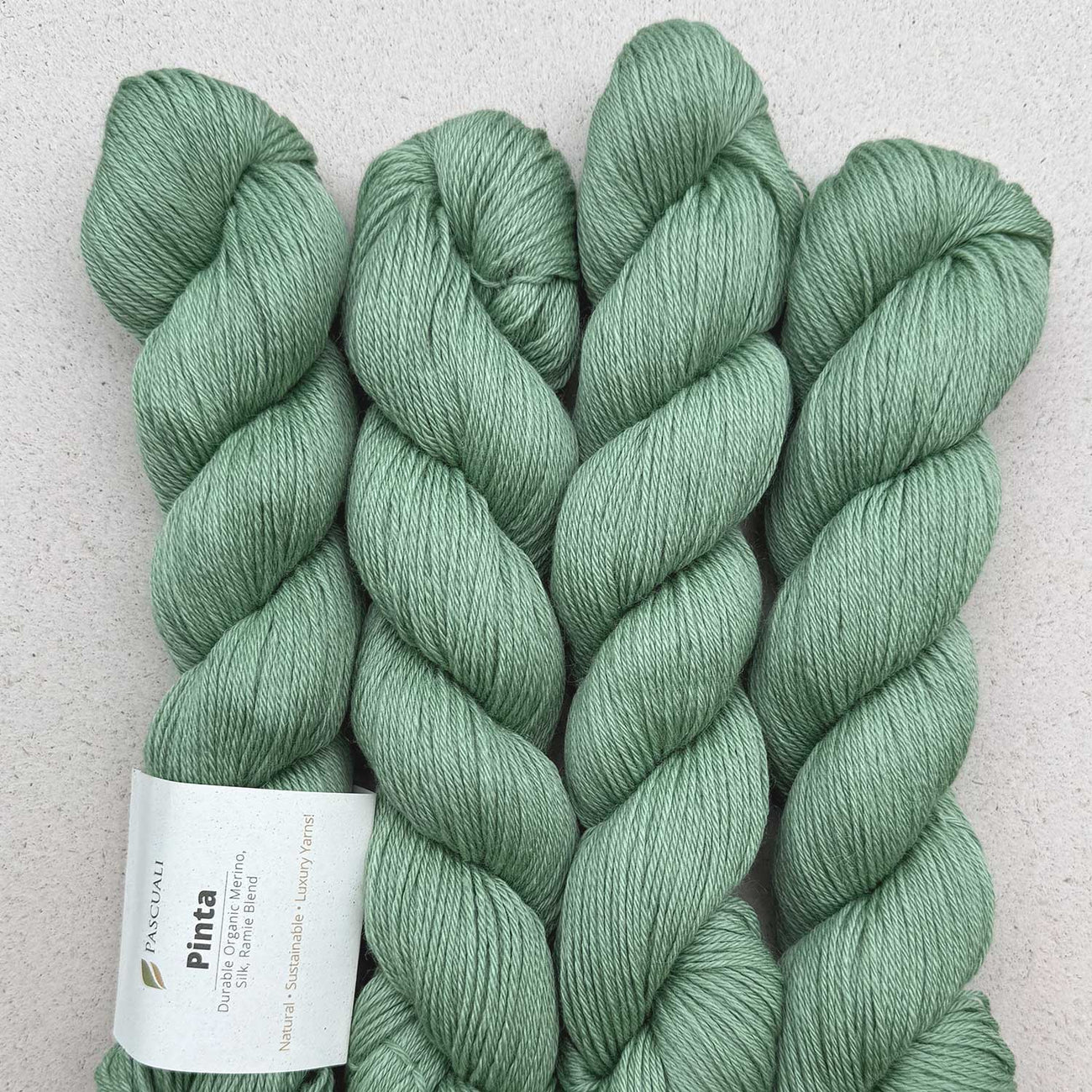 Kuvassa on Pascuali Pinta -lanka (yarn) värissä 130 Agave.