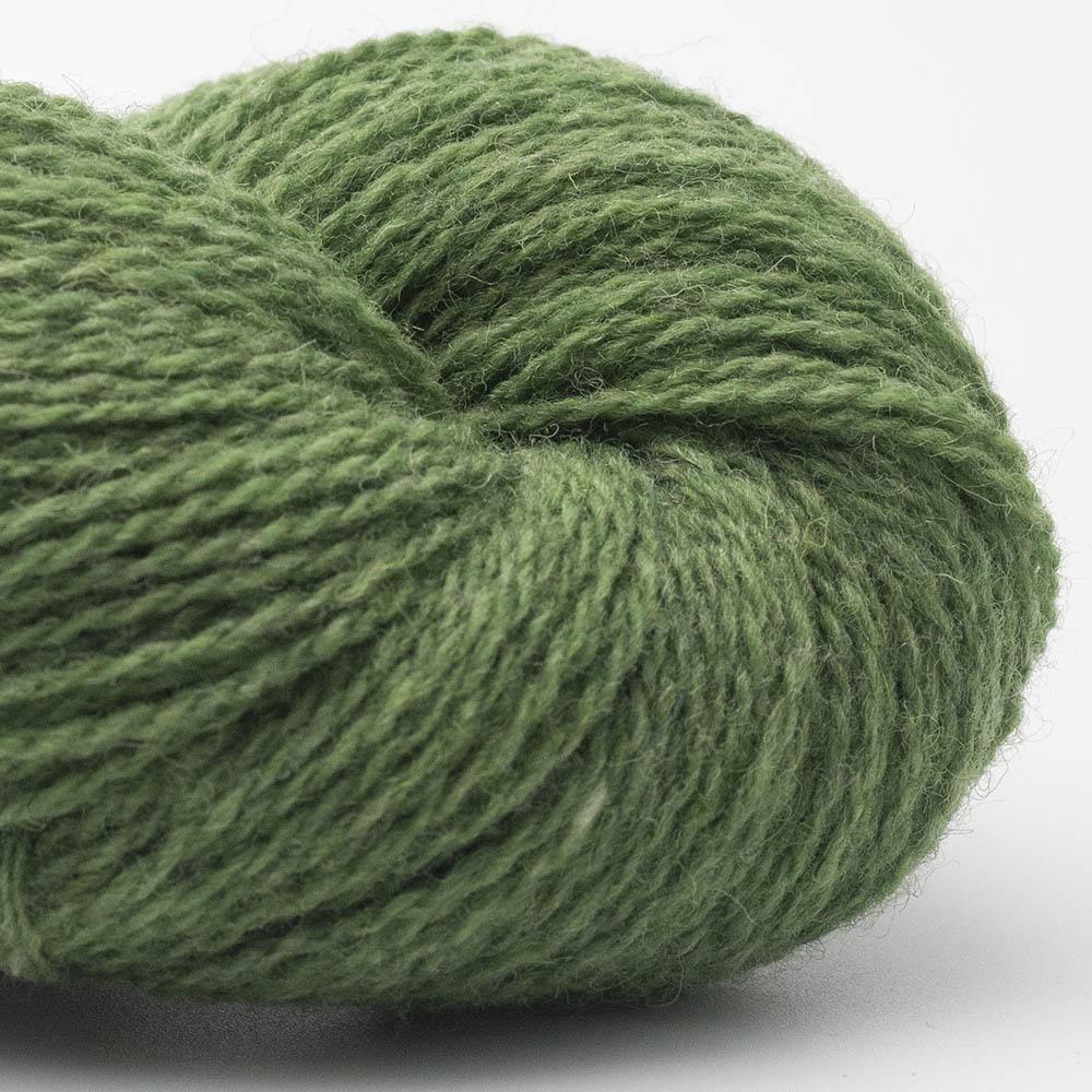 Kuvassa on BC Garn Bio Shetland GOTS -lanka (yarn) värissä Meadow.