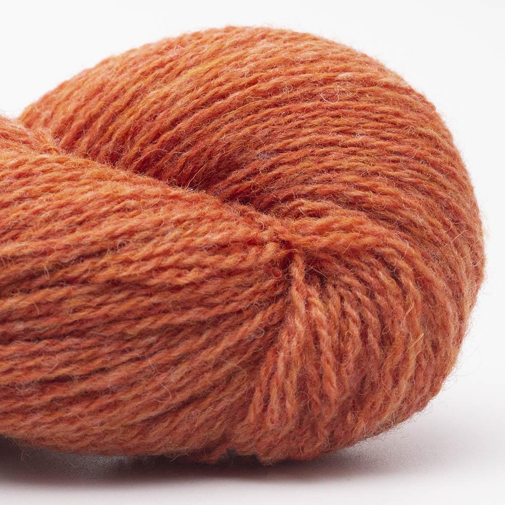 Kuvassa on BC Garn Bio Shetland GOTS -lanka (yarn) värissä Orange.
