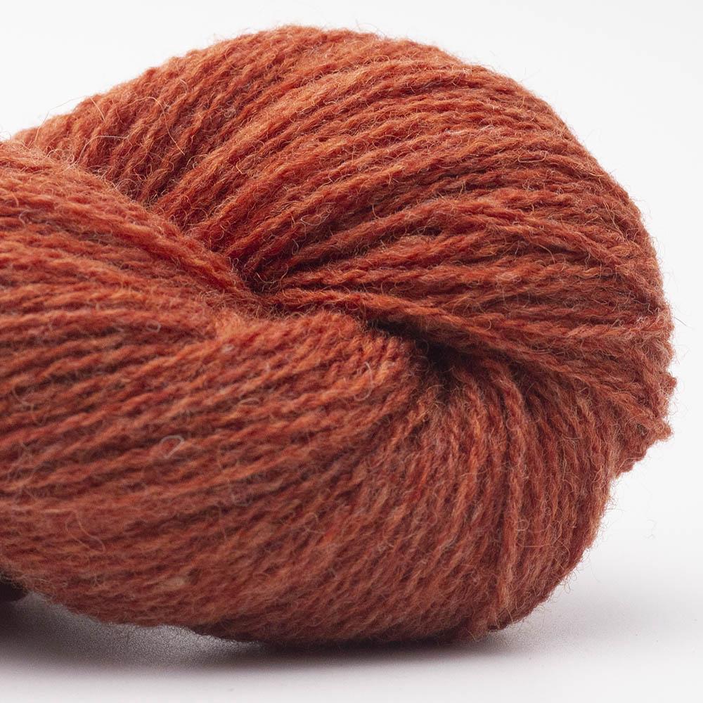 Kuvassa on BC Garn Bio Shetland GOTS -lanka (yarn) värissä Rusty Orange.